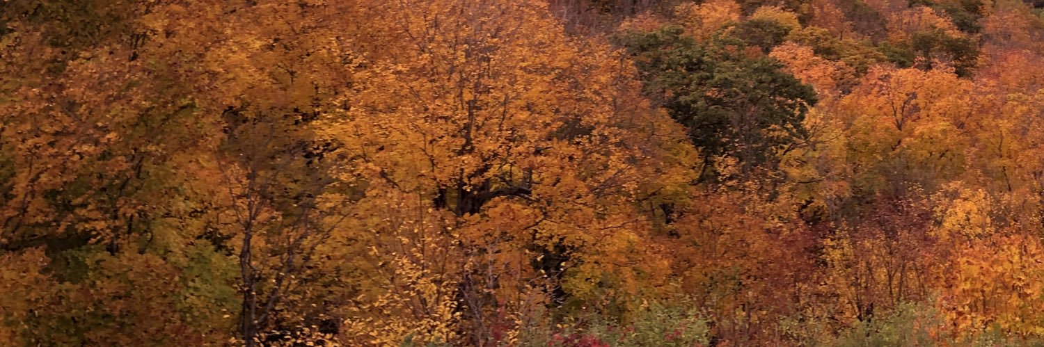 RKadaj's profile banner image