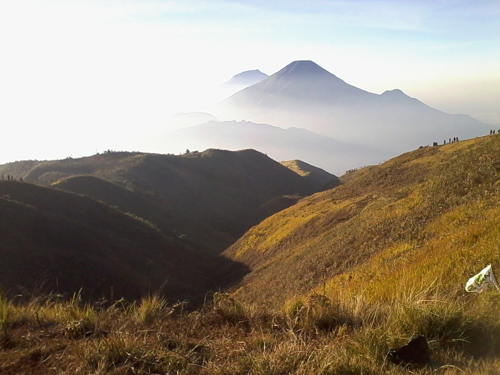 NSMsidiq's profile banner image
