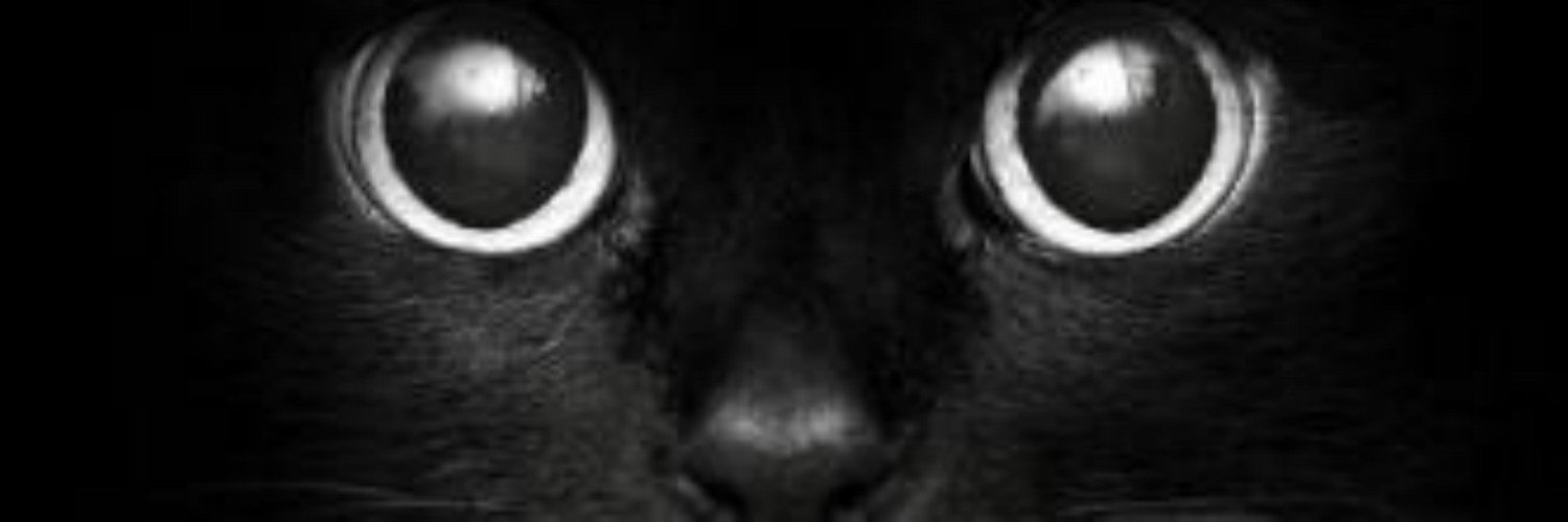 karma_kazy's profile banner image