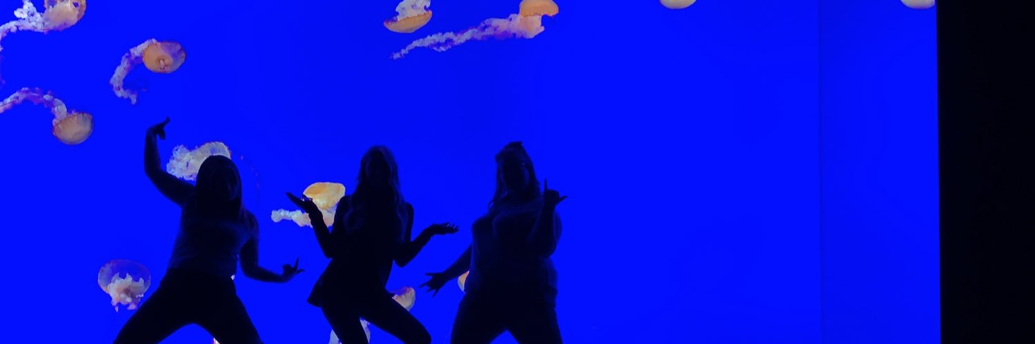 ShaneseMac's profile banner image