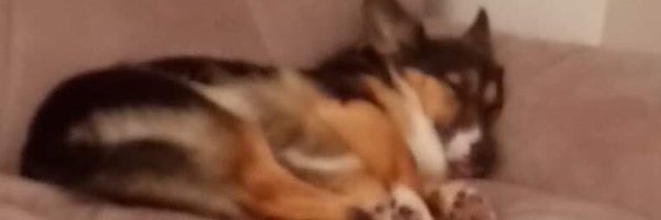 kaotica_72 Profile Banner