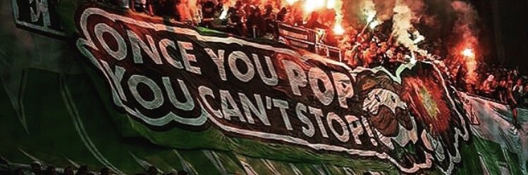 rohneskog's profile banner image