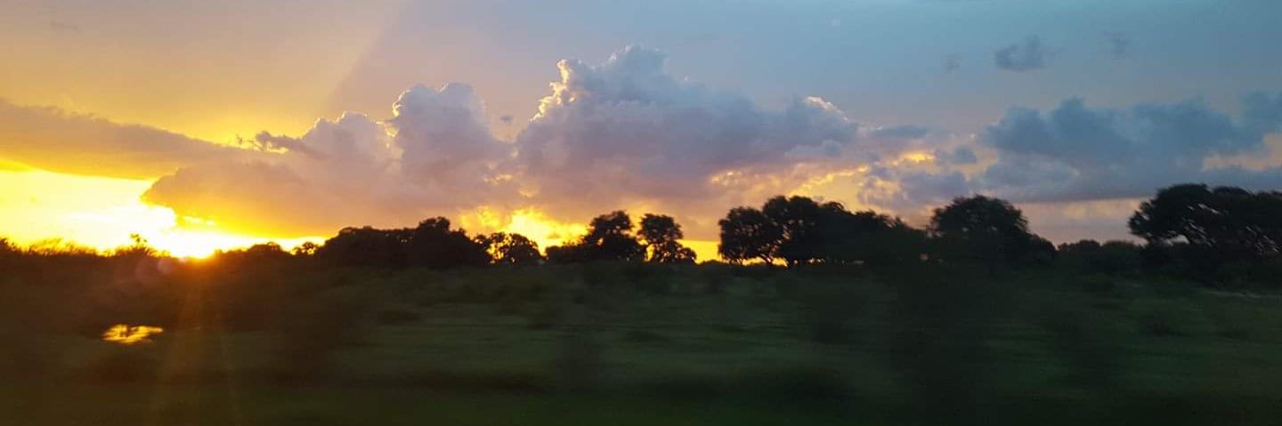 LeeceRuiz's profile banner image