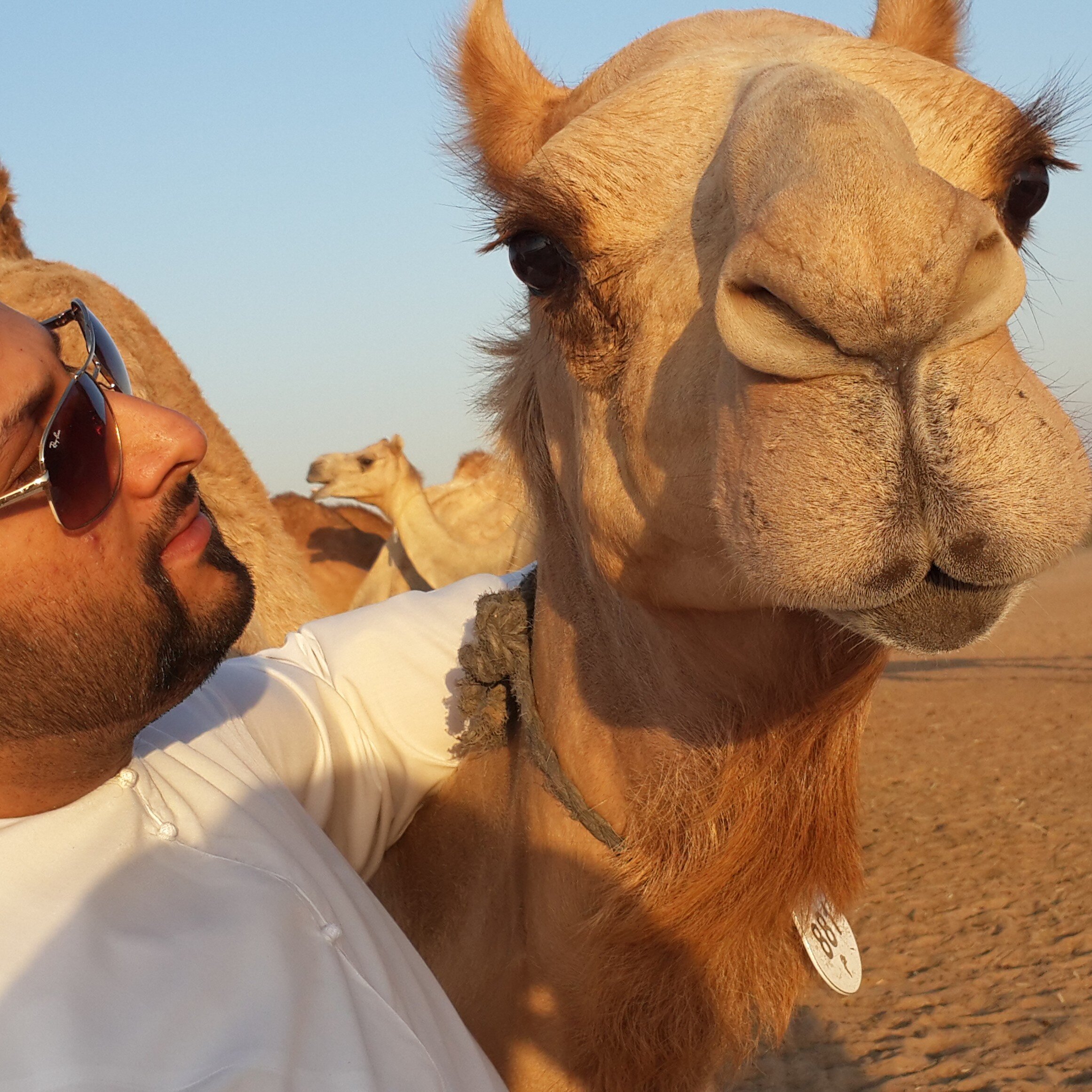 AlHdooo2's profile banner image