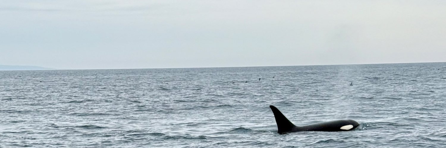 Naaako83's profile banner image