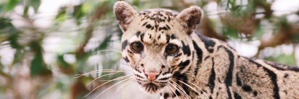 parkenzoo Profile Banner