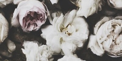 PhilippineLgrs's profile banner image