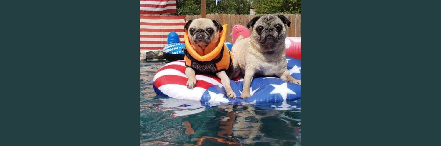 2020pug's profile banner image