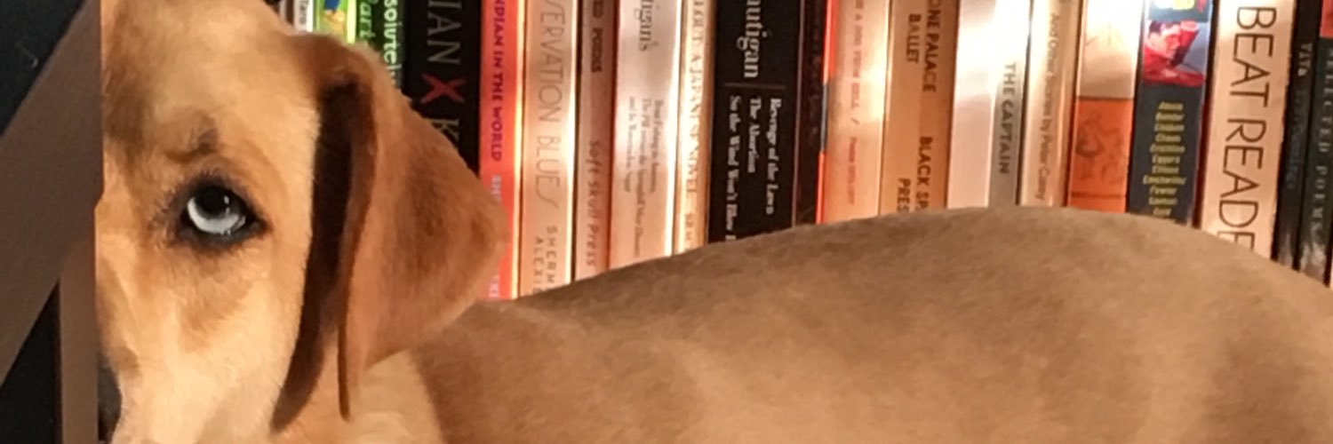 lilzum's profile banner image
