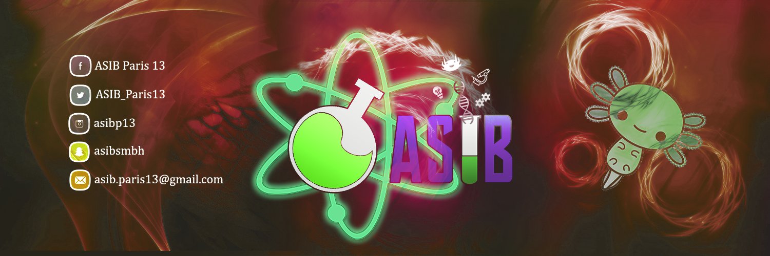 ASIB_Paris13's profile banner image
