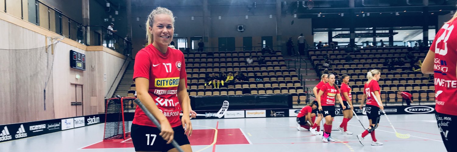 Agnes Aronsson banner