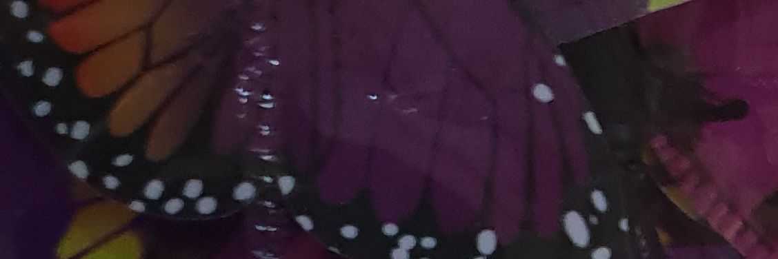 danydany44's profile banner image