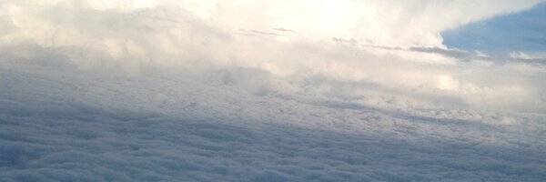 AdrienneImbro Profile Banner