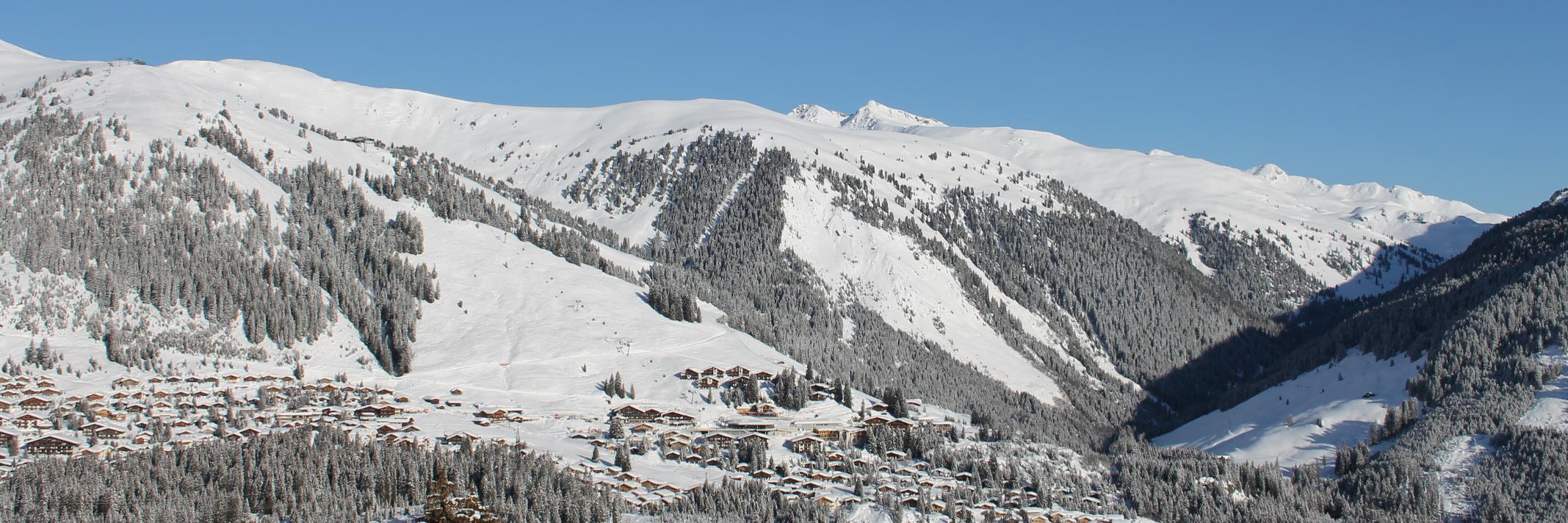 Almhaus Müller banner