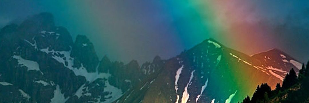 pppp__w's profile banner image