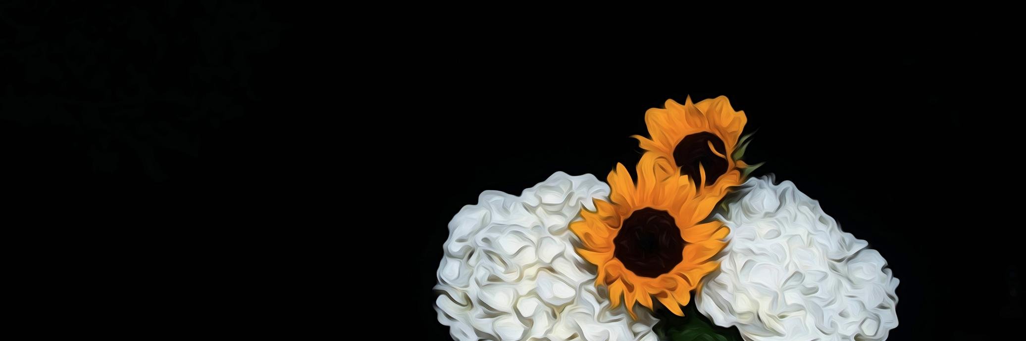 dejongdd's profile banner image