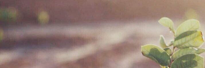 ghado0o22's profile banner image