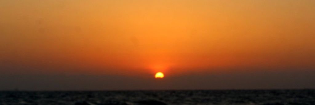 Issa Dhollowaa banner