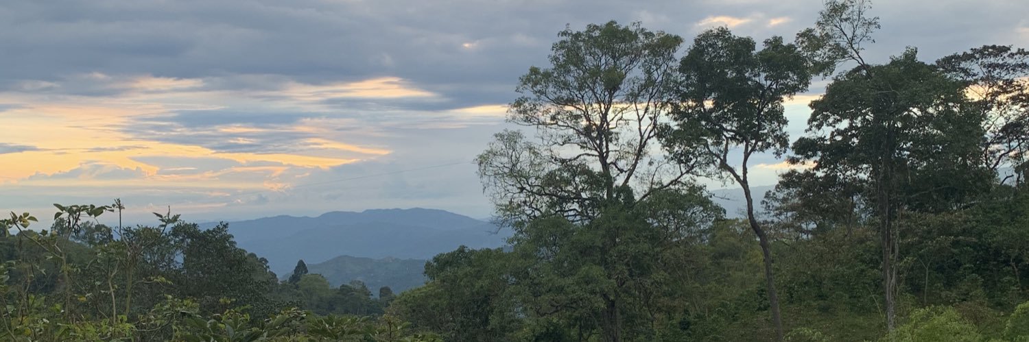 SanchezGregorio's profile banner image
