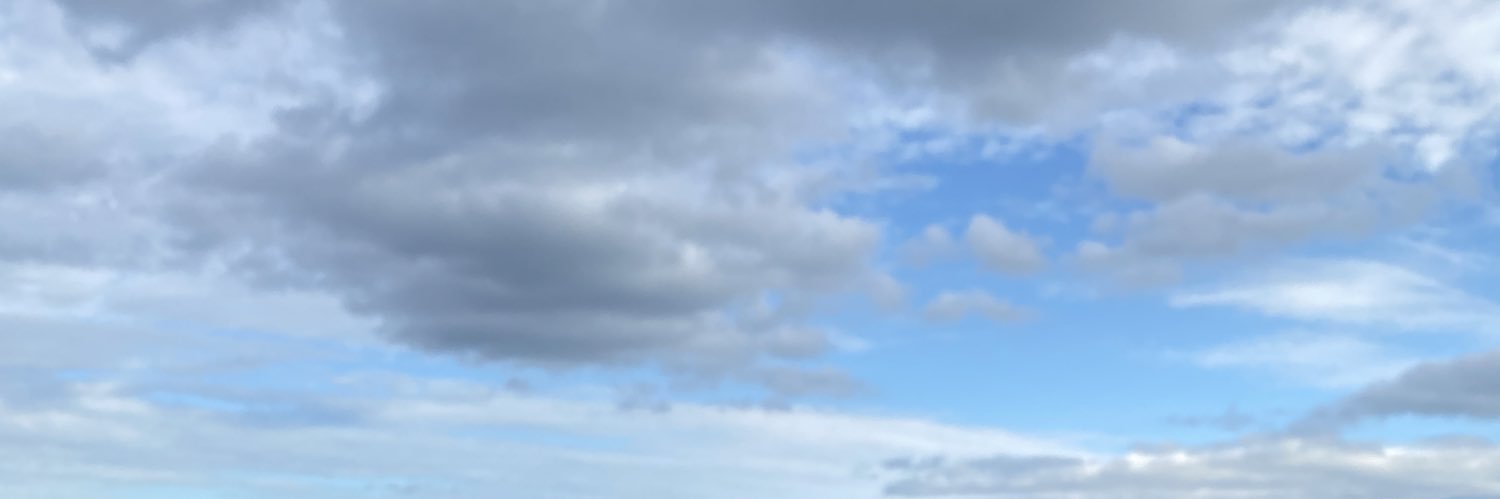 NatashaJadeW's profile banner image