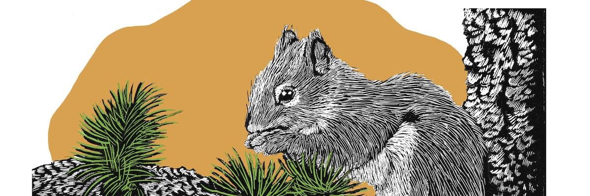 CraigmoreCreate's profile banner image