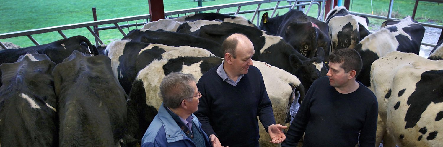 FlorMcCarthy1's profile banner image