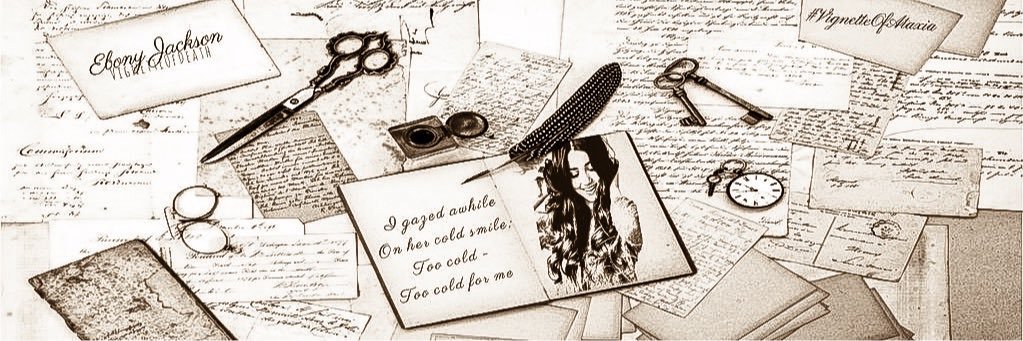 VignetteOfDeath's profile banner image