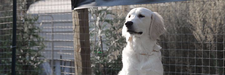 susansmithellis's profile banner image