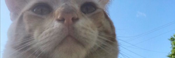 HectorRiSe Profile Banner