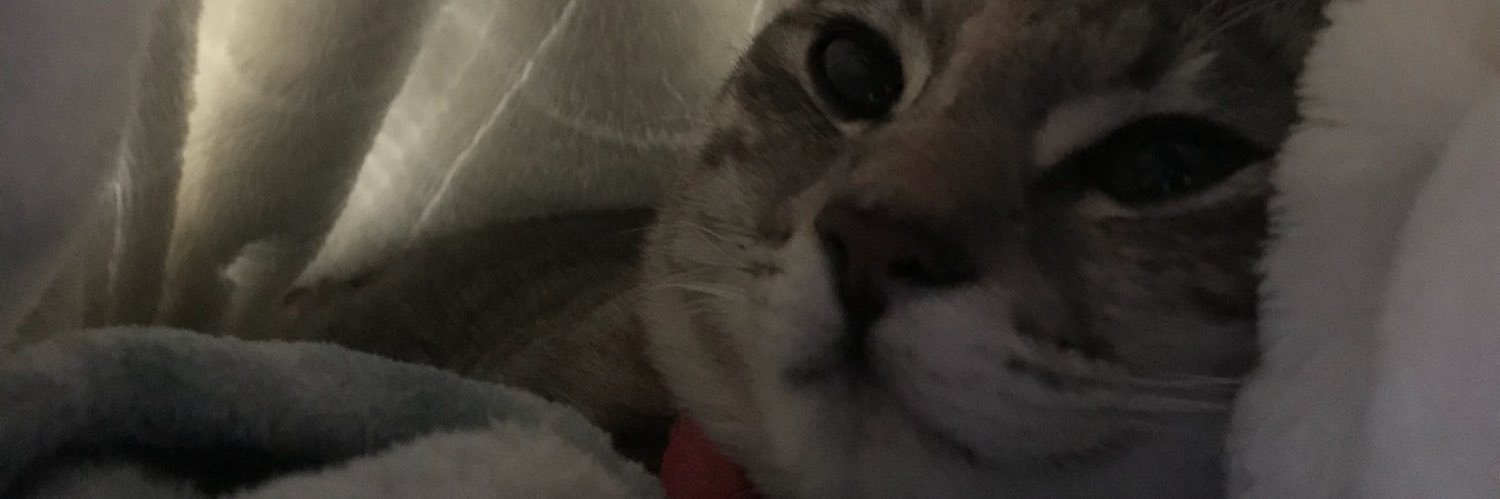 dddaaannng's profile banner image