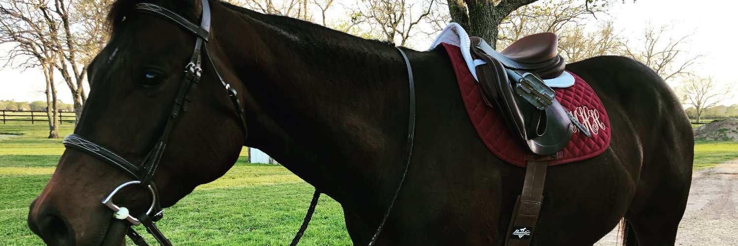 HMurph18's profile banner image