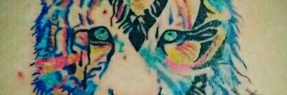 virginianpi's profile banner image