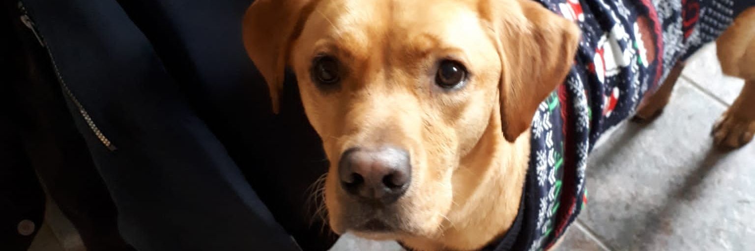 billy montgomery banner