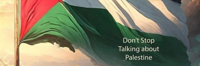 纳尔逊·索拉诺 banner