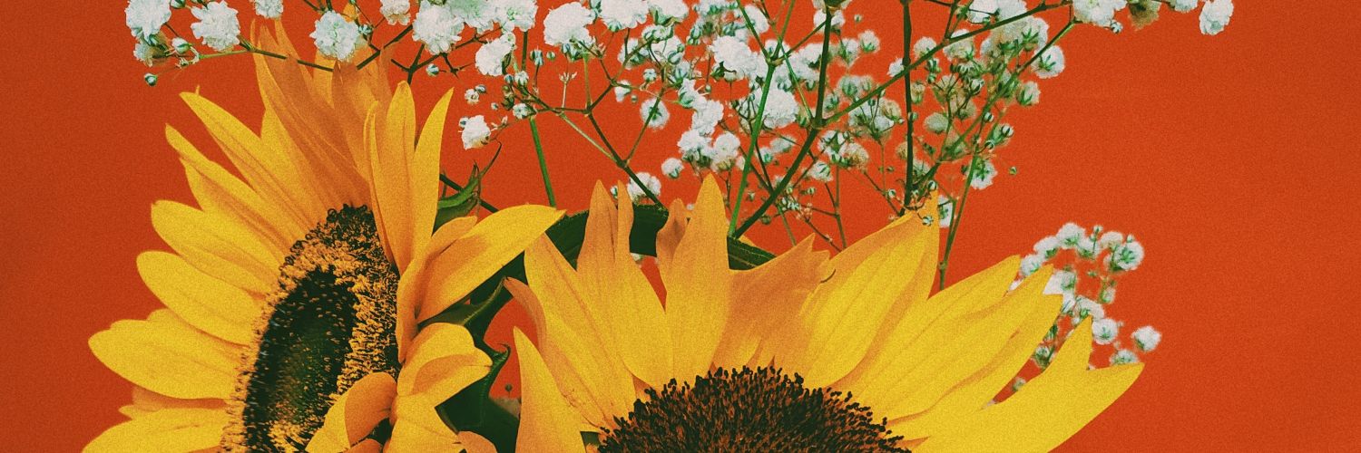 13613_3's profile banner image