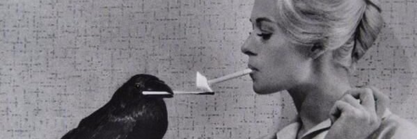 ScreamSirens's profile banner image