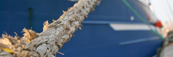 EuropecheOrg Profile Banner