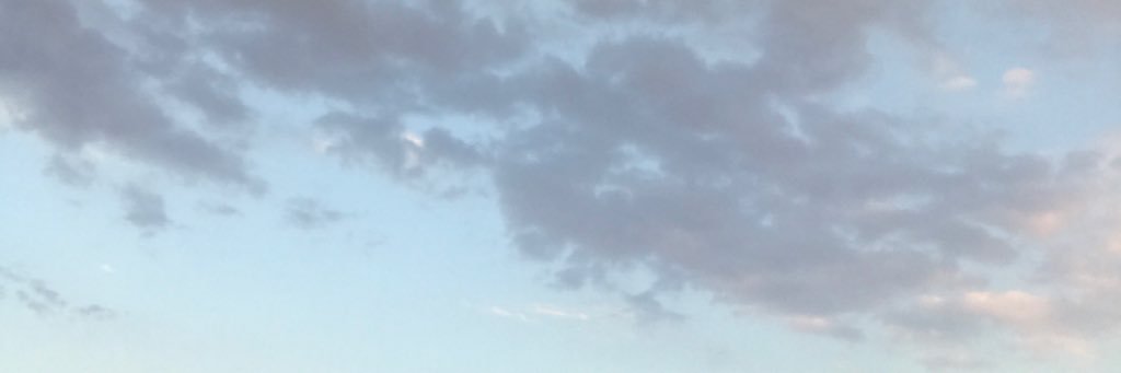BushnevaSasha's profile banner image