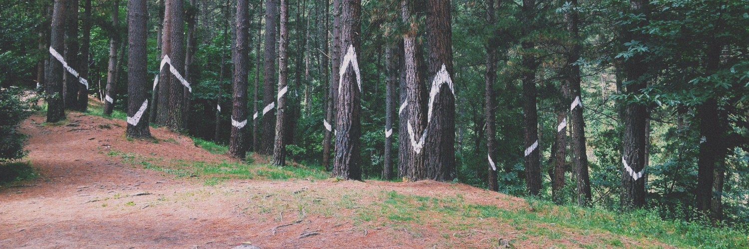 trrlnd's profile banner image