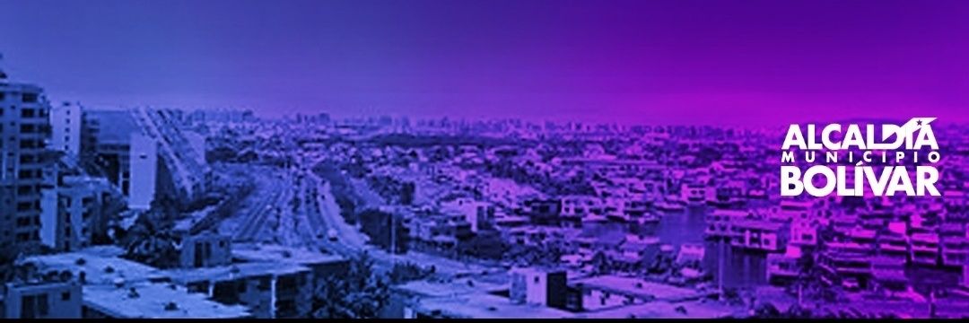 Alcaldía de Barcelona banner