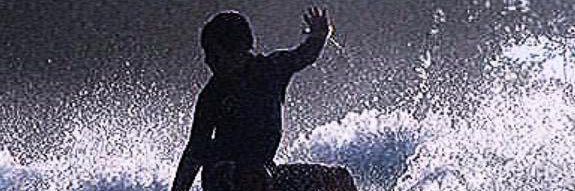 AFernandoCF's profile banner image