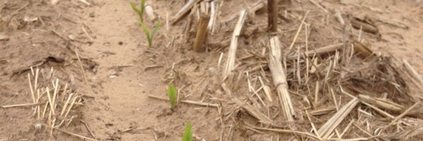 DanEmmert Profile Banner