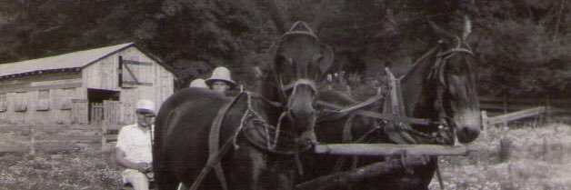 ladyewilkinson's profile banner image