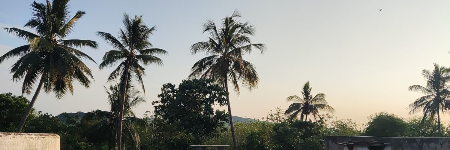 SubashPanigrahy's profile banner image