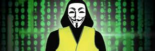 anon342's profile banner image