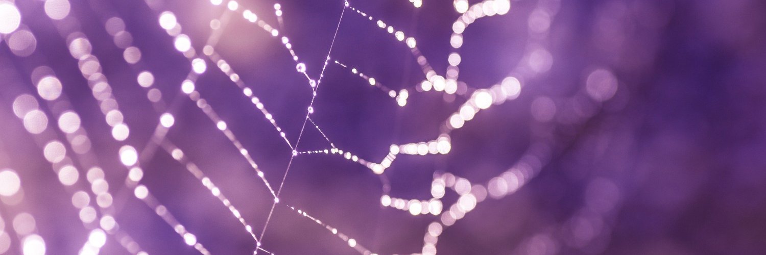 Lisa Faessler banner