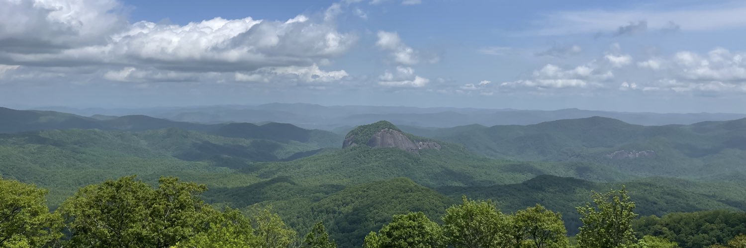 Alec Senioris banner