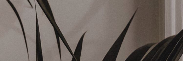 hazalustaoglu's profile banner image