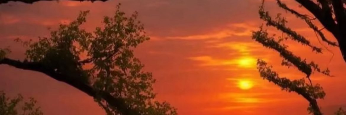 rrosebbyy's profile banner image