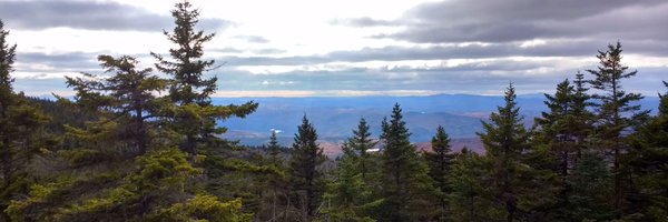 TrebAllen Profile Banner